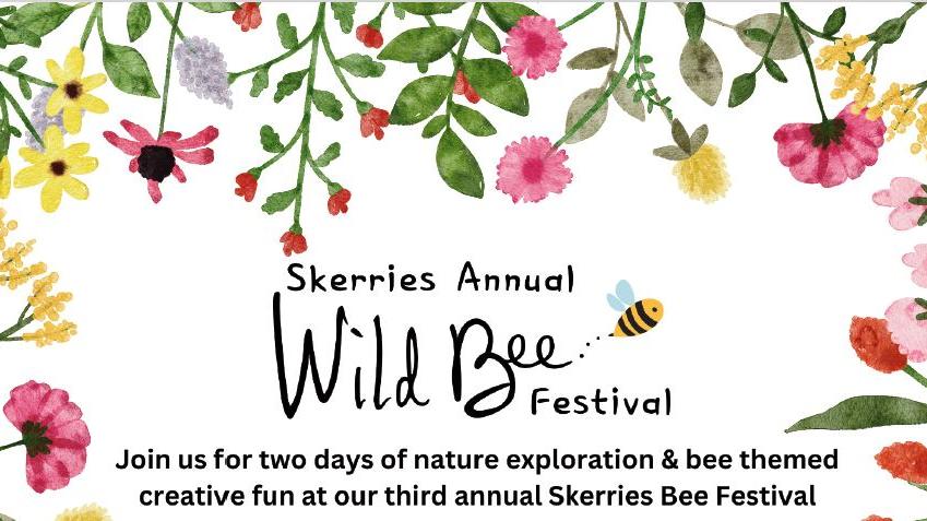 Wild bee festival header 2024