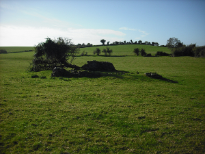 Stephenstown Castle300x225