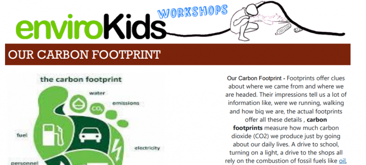 carbon footprint