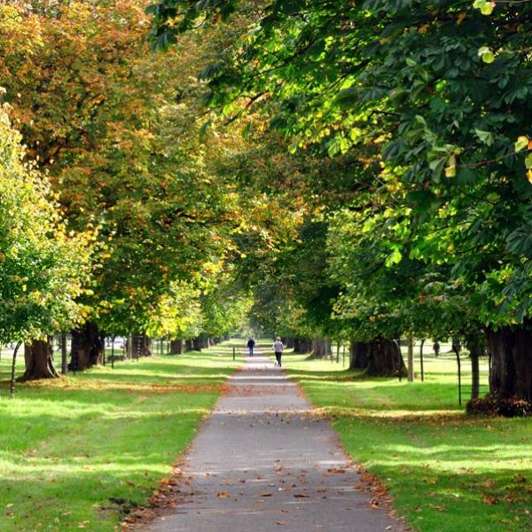 Phoenix Park Path