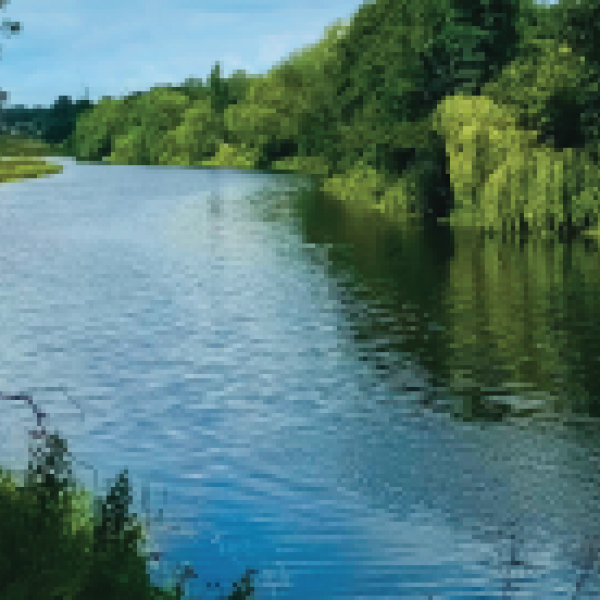 Liffey Valley Trail