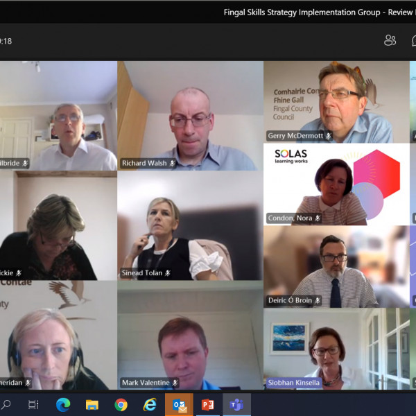 Members of the Fingal Skills Strategy Implementation Group at their virtual meeting in June 2021