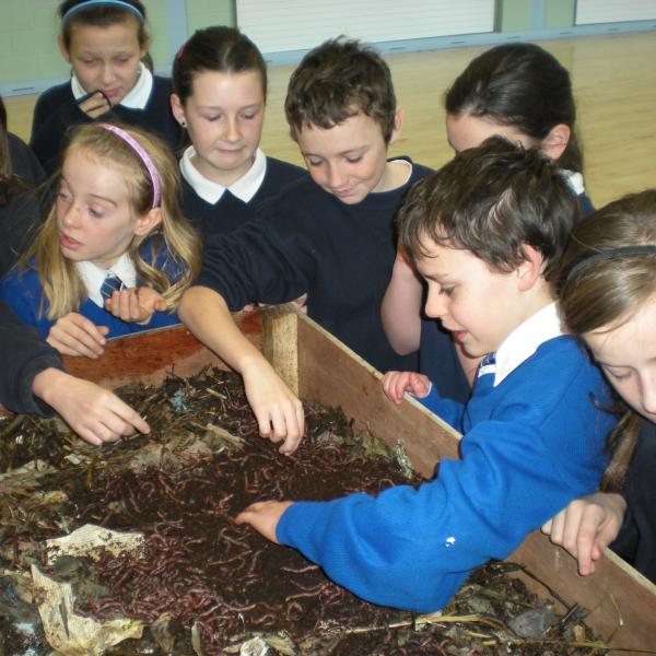 Composting for schools