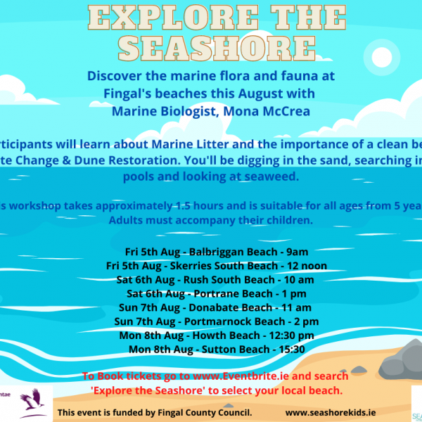 Beach Workshops