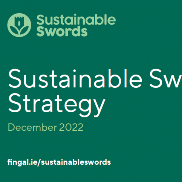 sustainable swords strategy.PNG