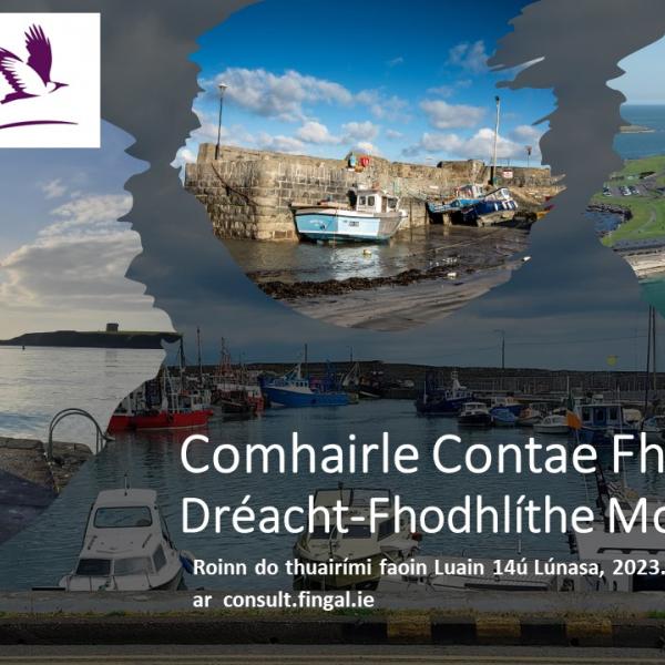 Harbour Bye-Laws Gaeilge