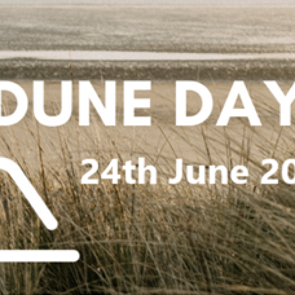 World Sand Dune Day