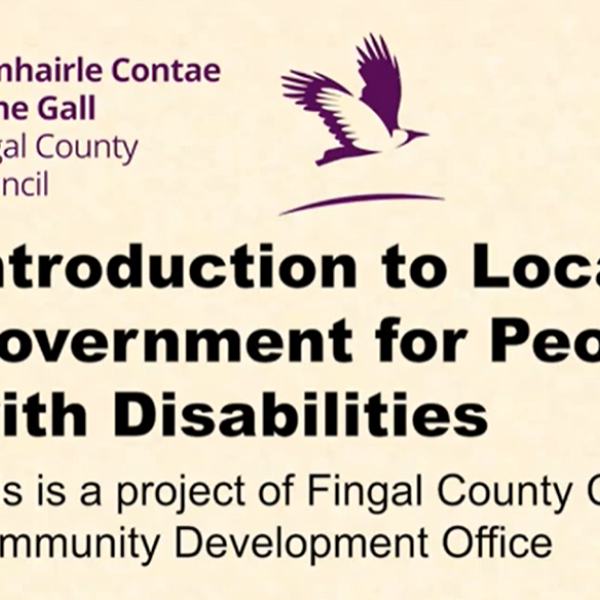 local government for people with disabilities.PNG