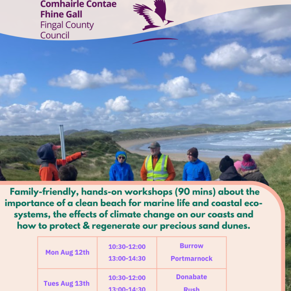 New Beach Workshops Notice