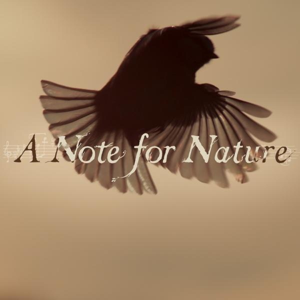 A Note for Nature