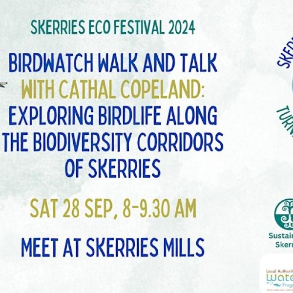 Birdwatch Skerries September 28th