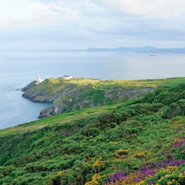 Howth is designated as a Special Amenity  Area Order (SAAO) because of its outstanding beauty,  special recreational value and nature conservation interests.