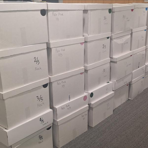 Boxes of Further Information submitted by daa