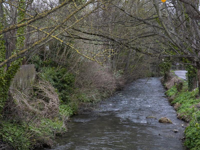 Ward River Valley Park Swords