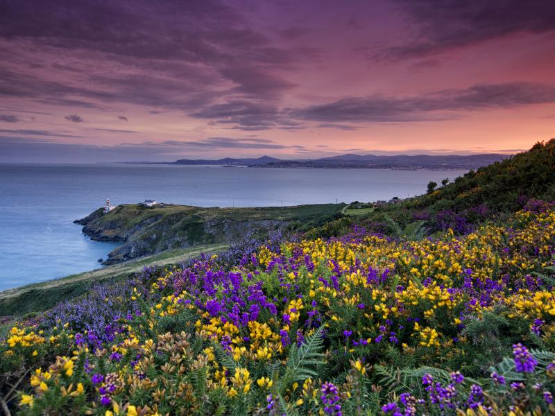 Howth Cliff Walk v