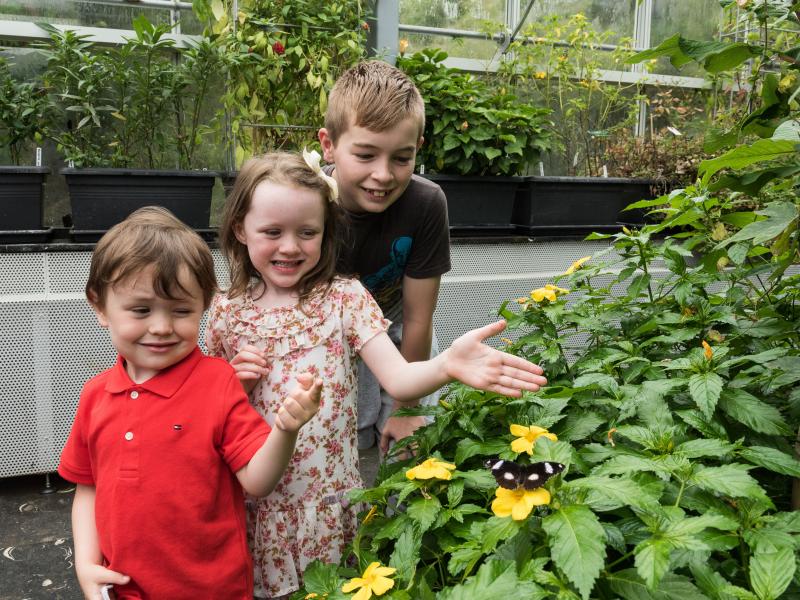 Malahide Butterfly House