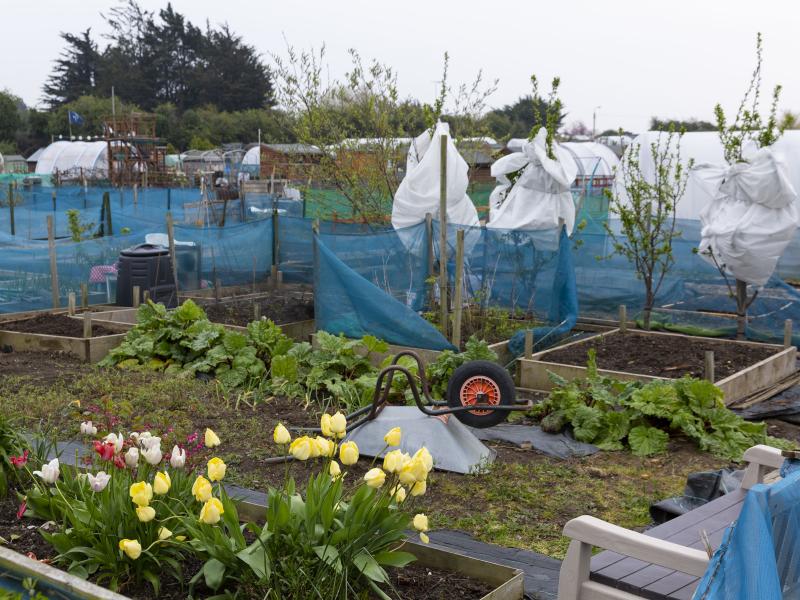 Allotments