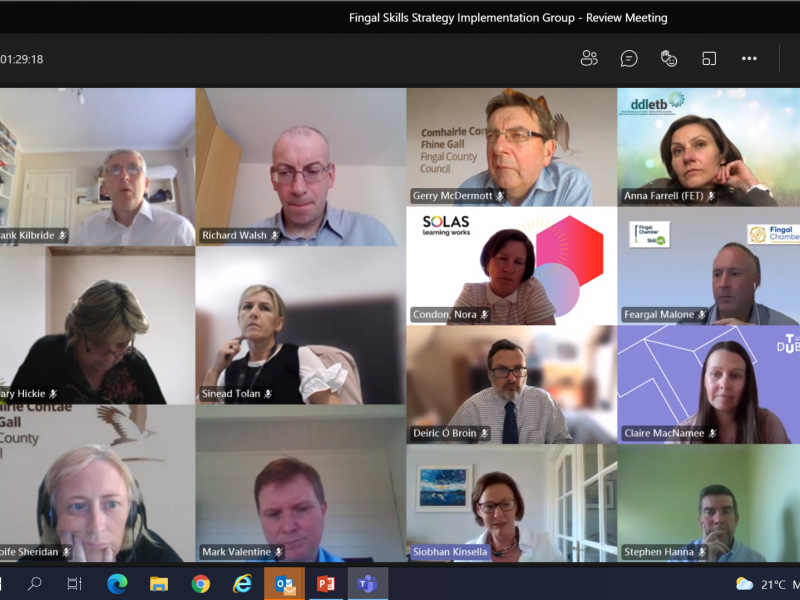 Members of the Fingal Skills Strategy Implementation Group at their virtual meeting in June 2021