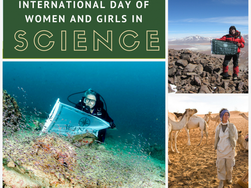 international day of women and girls in science