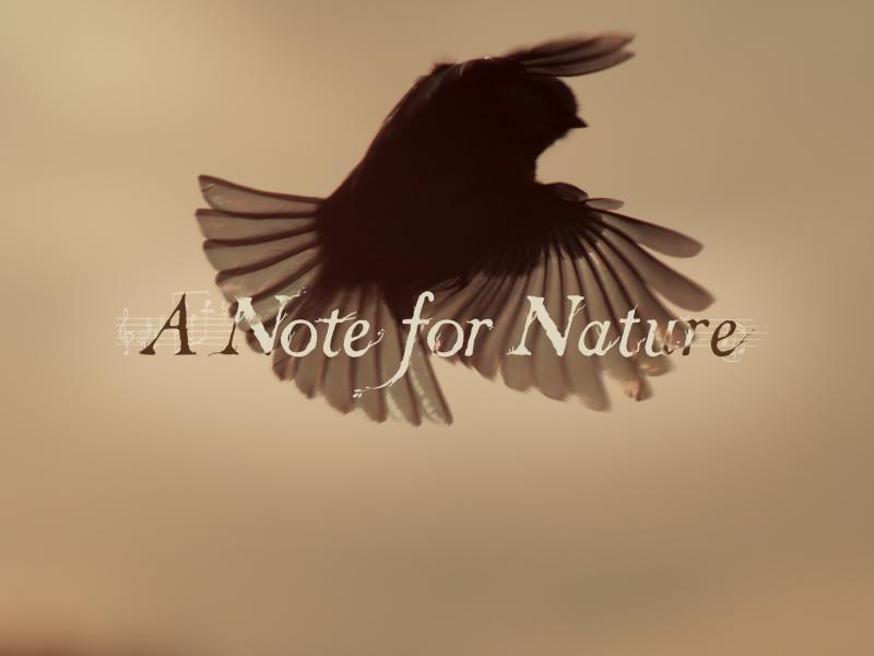 A Note for Nature