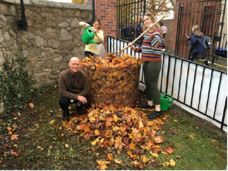 Leaf Mould Composting for Community Groups