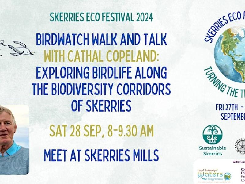 Birdwatch Skerries September 28th