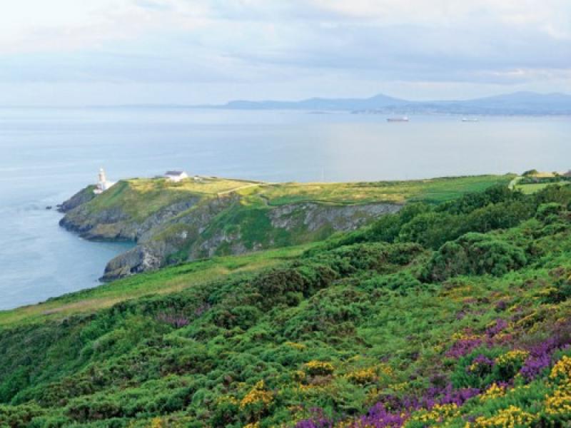 Howth is designated as a Special Amenity  Area Order (SAAO) because of its outstanding beauty,  special recreational value and nature conservation interests.