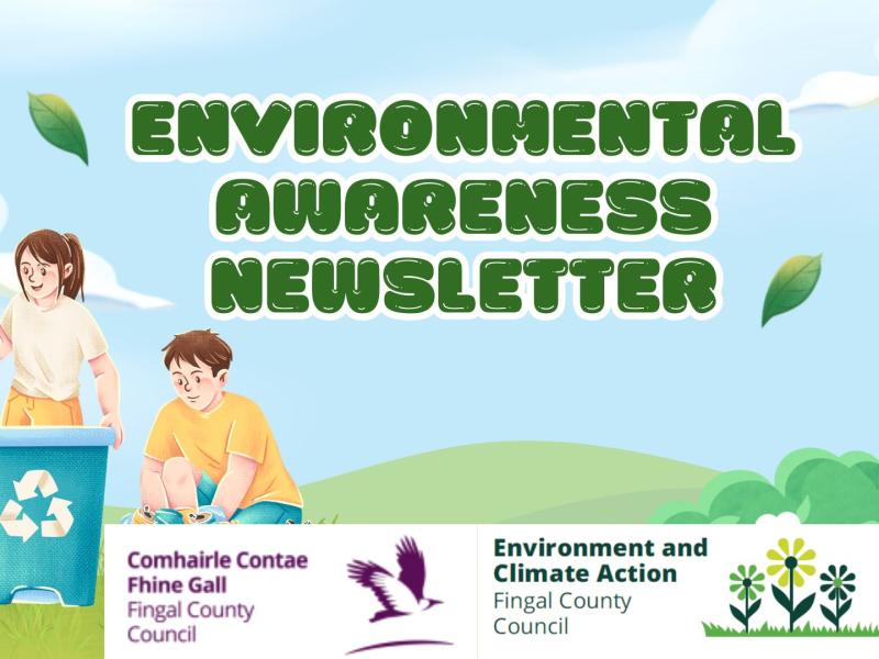 Environmental Awareness Newsletter Oct 2024