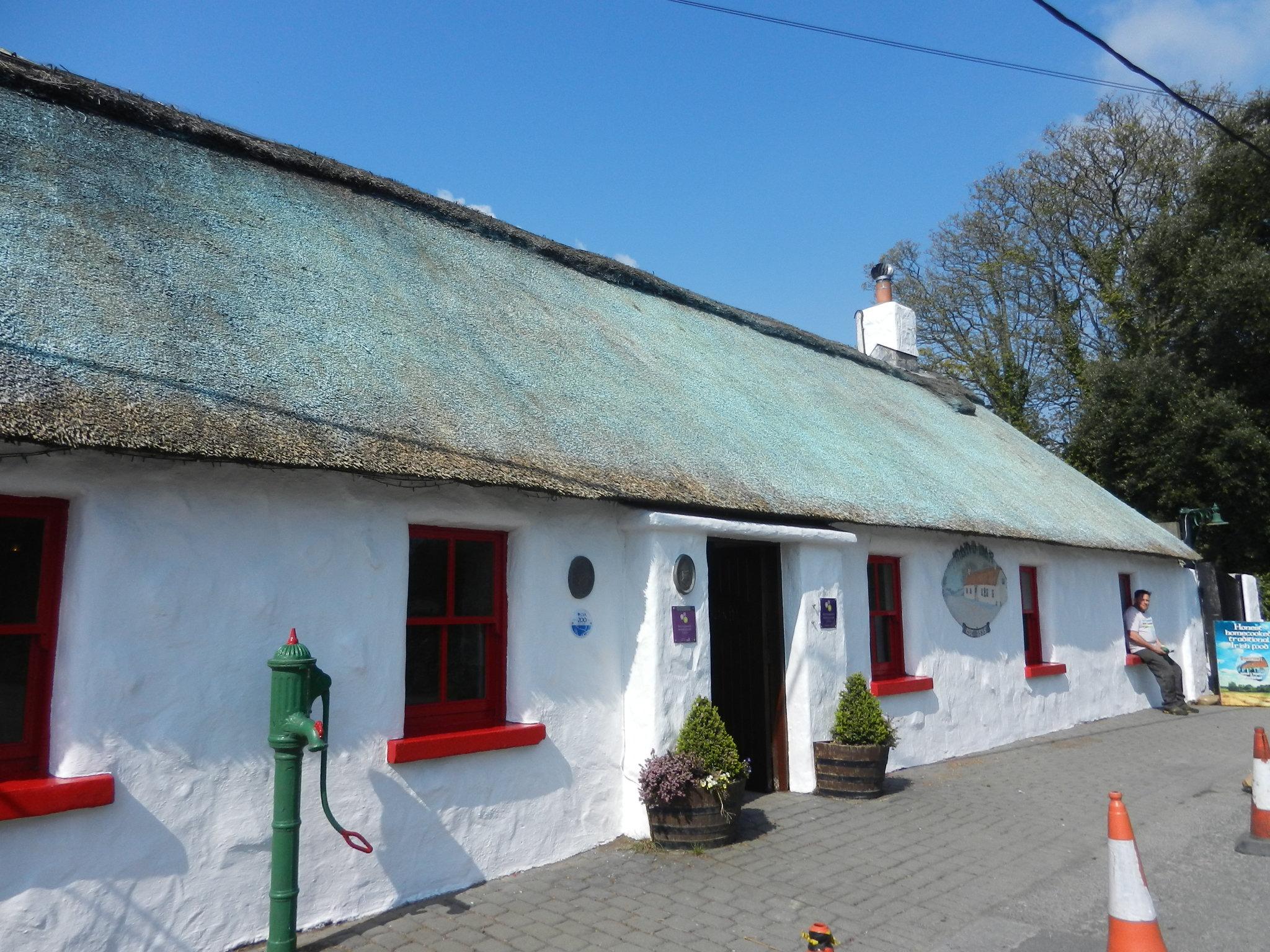 thatch repair