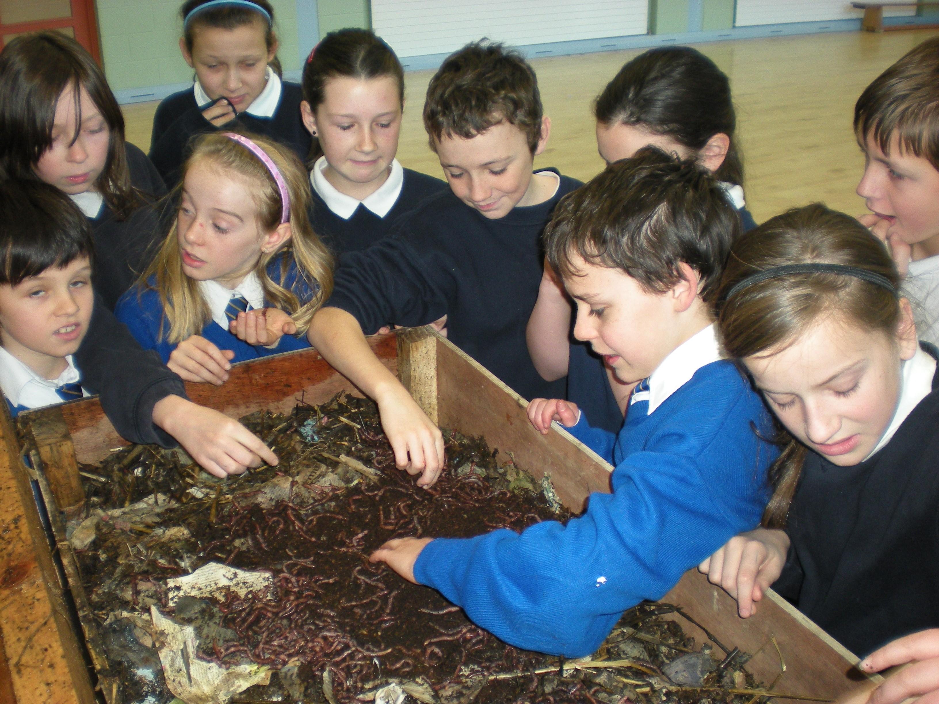 Composting for schools