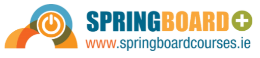 Fingal Skills Strategy - Springboard