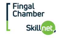 Fingal Skills Strategy - Skillnet