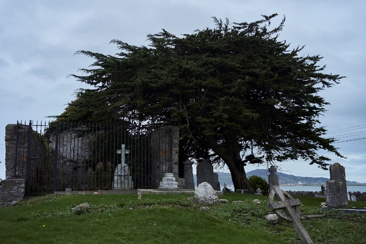 Kilbarrack Cemetery