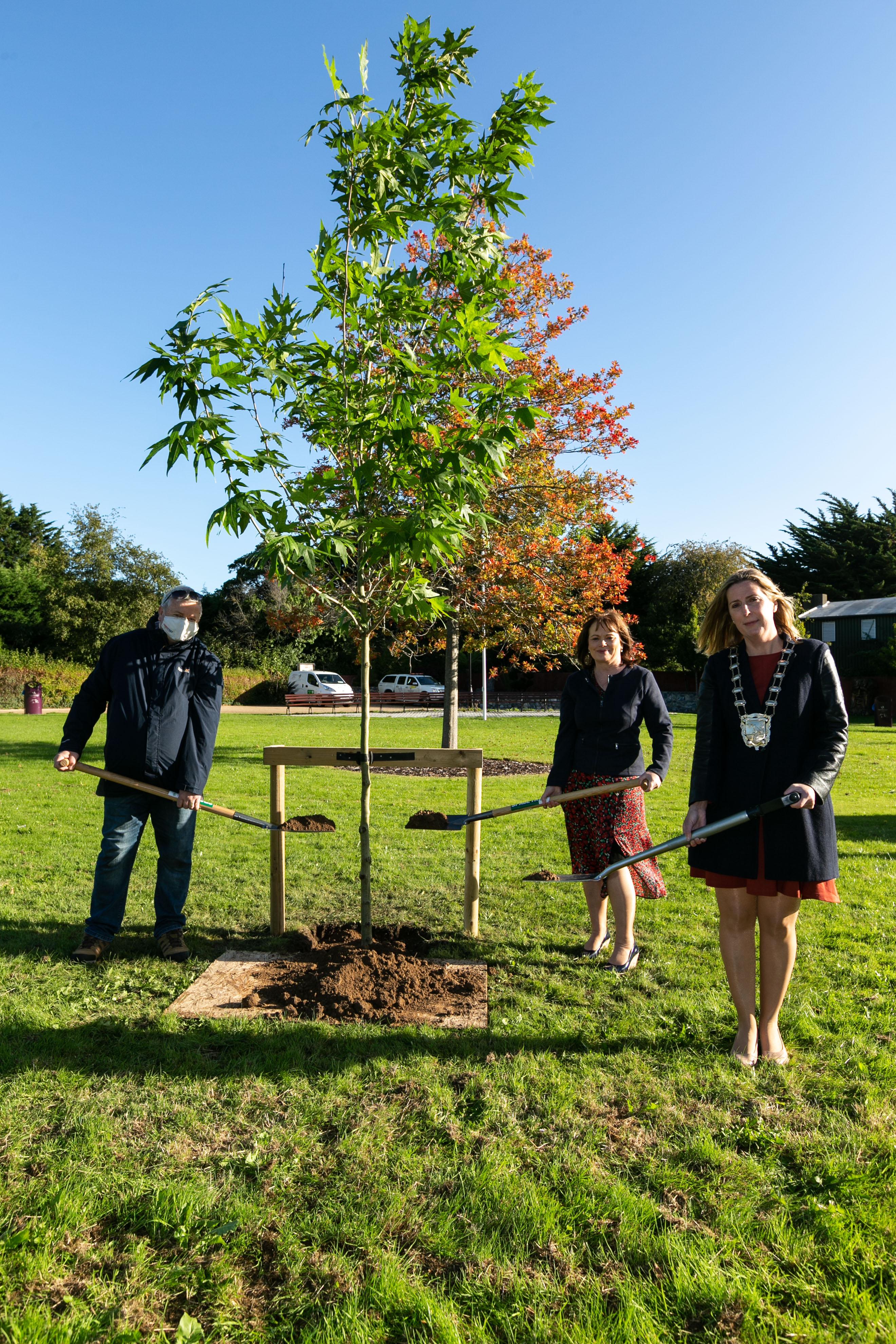 Commemorative tree planting