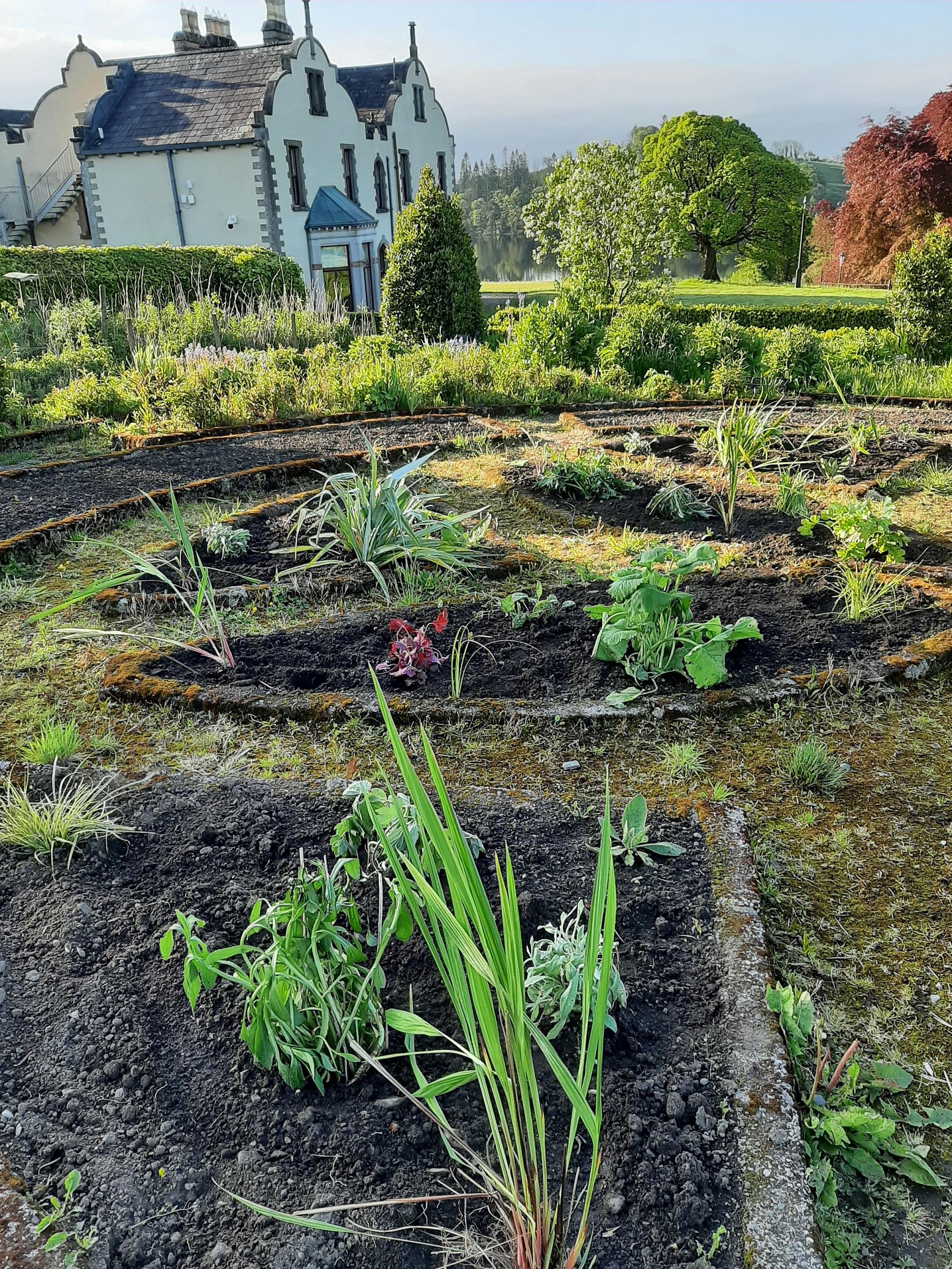 Tyrone Guthrie Centre and garden