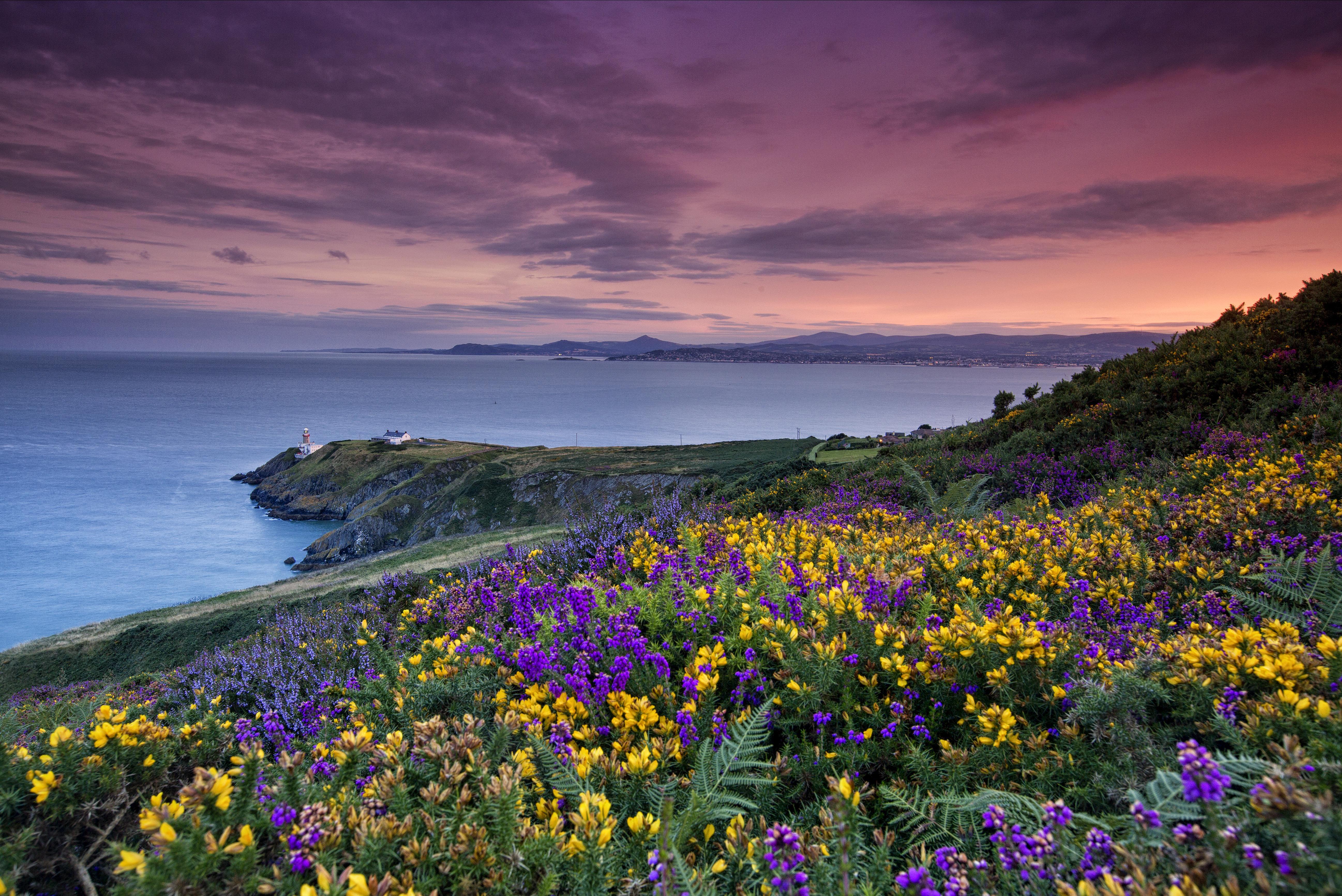 Howth Cliff Walk