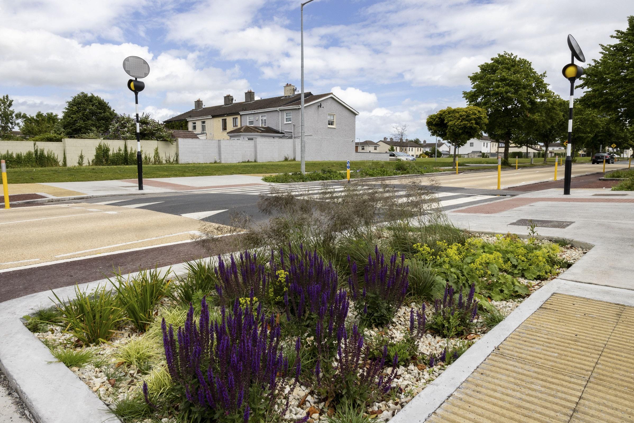 rain gardens feature at St Philip the Apostle school zone