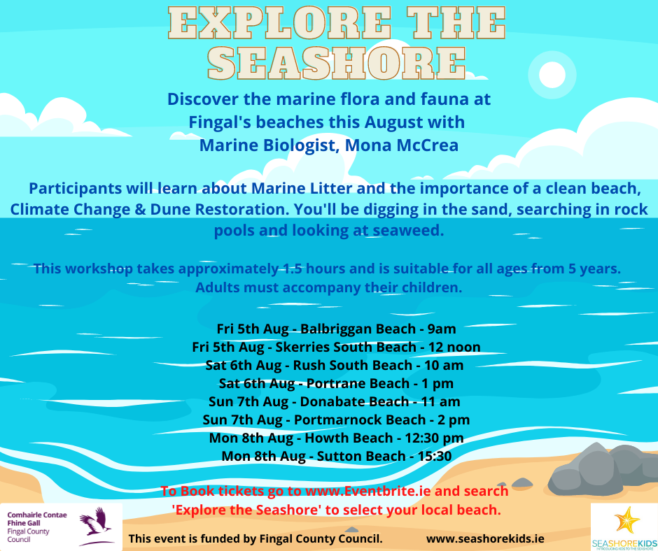 Beach Workshops