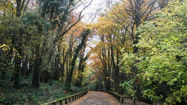 st catherines park lucan