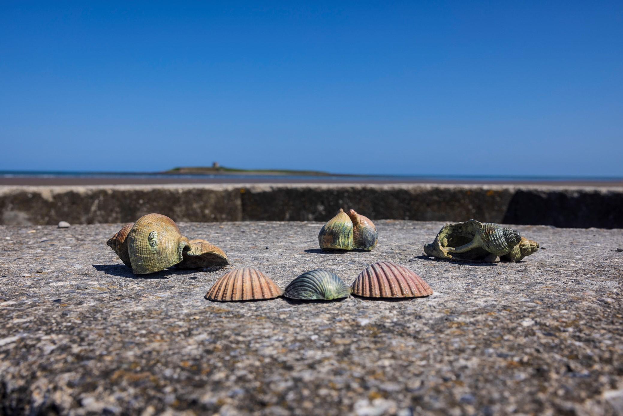 Skerries Art Trail Beachcomer Bank Bernie Reilly