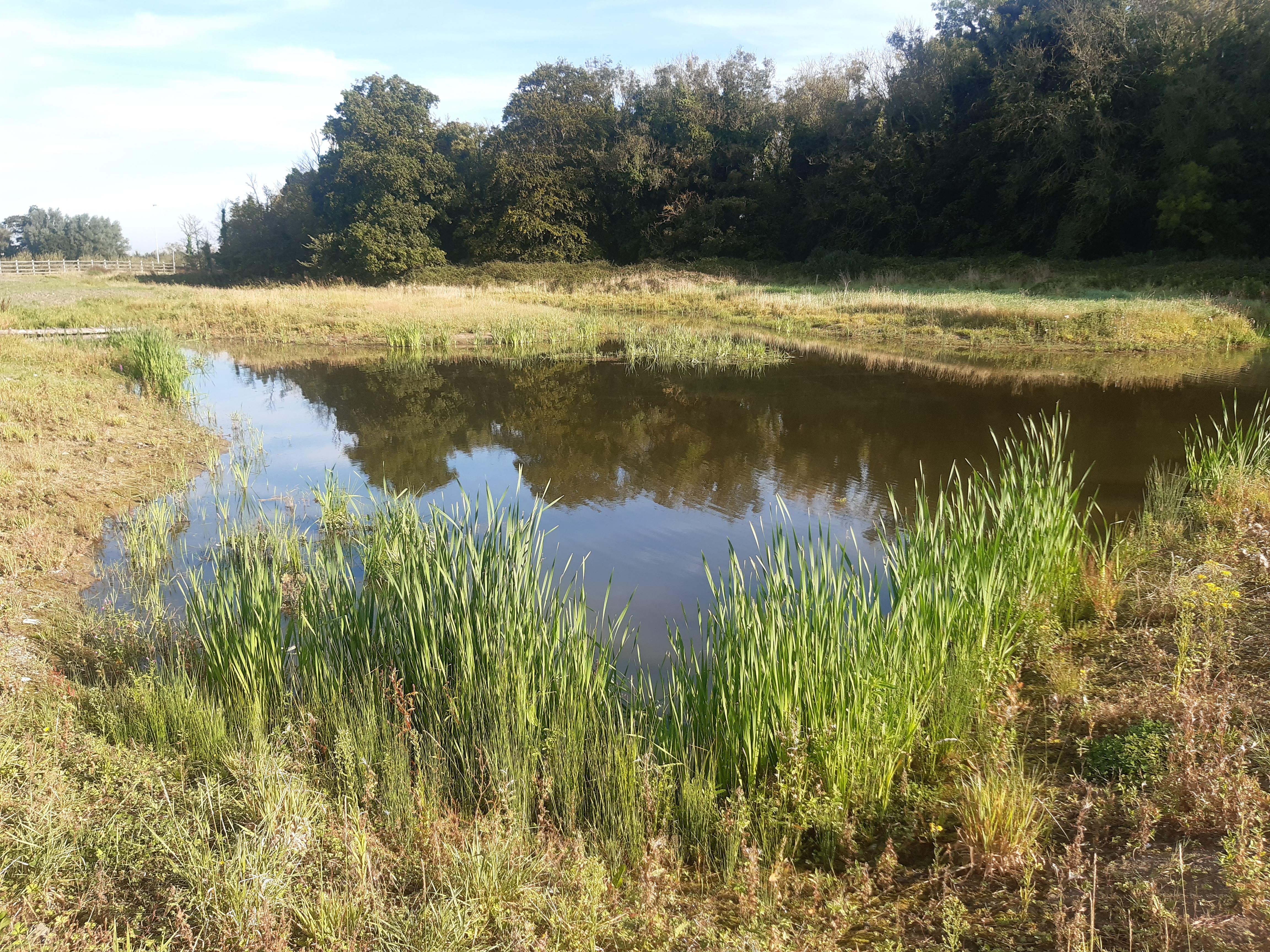 Restored historical pond St Ita's Portrane