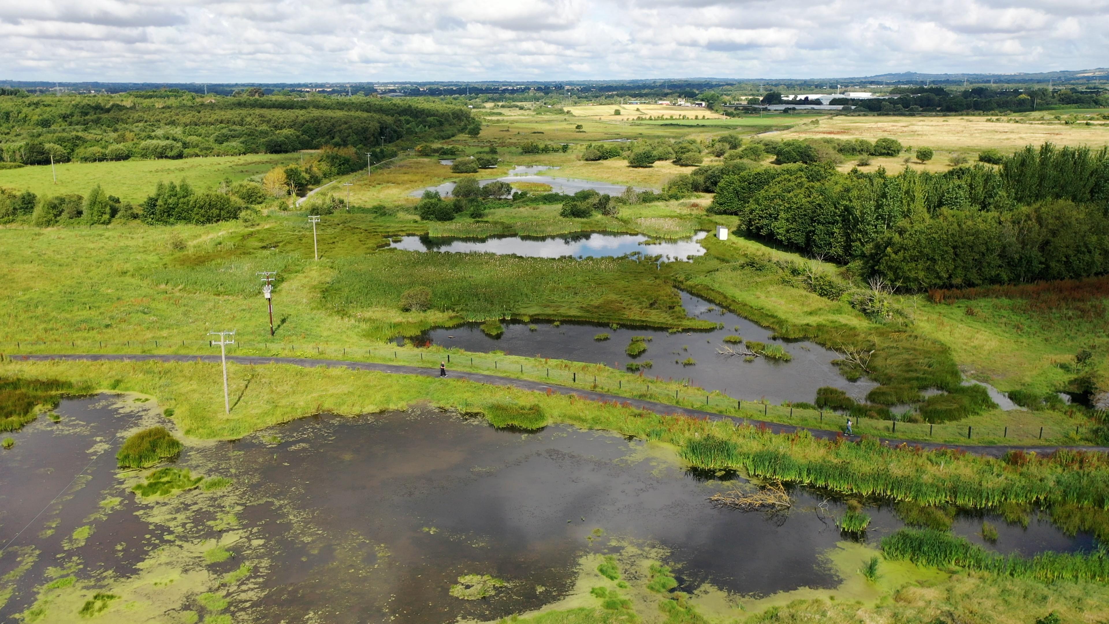 Guided Walk of Turvey Nature Reserve with Birdwatch Fingal