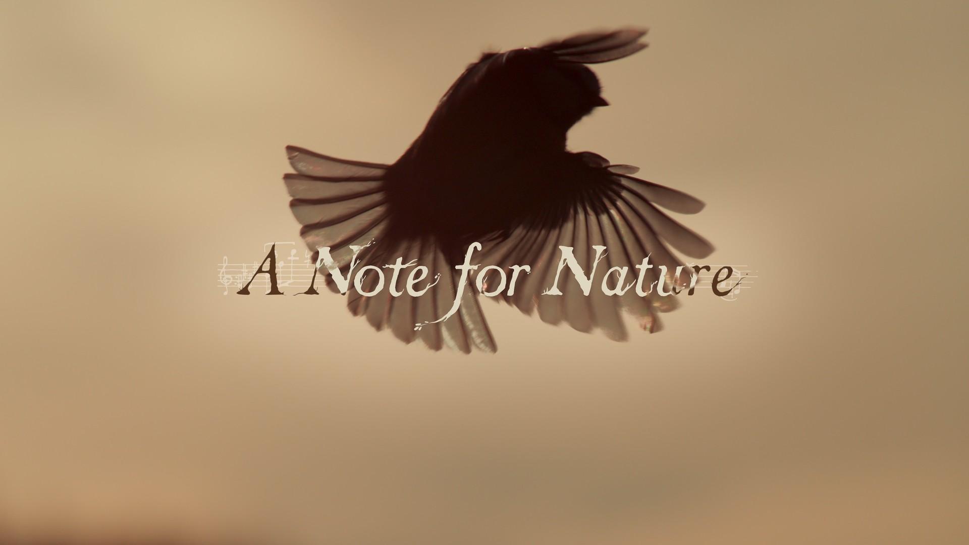 A Note for Nature