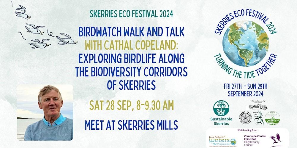 Birdwatch Skerries September 28th