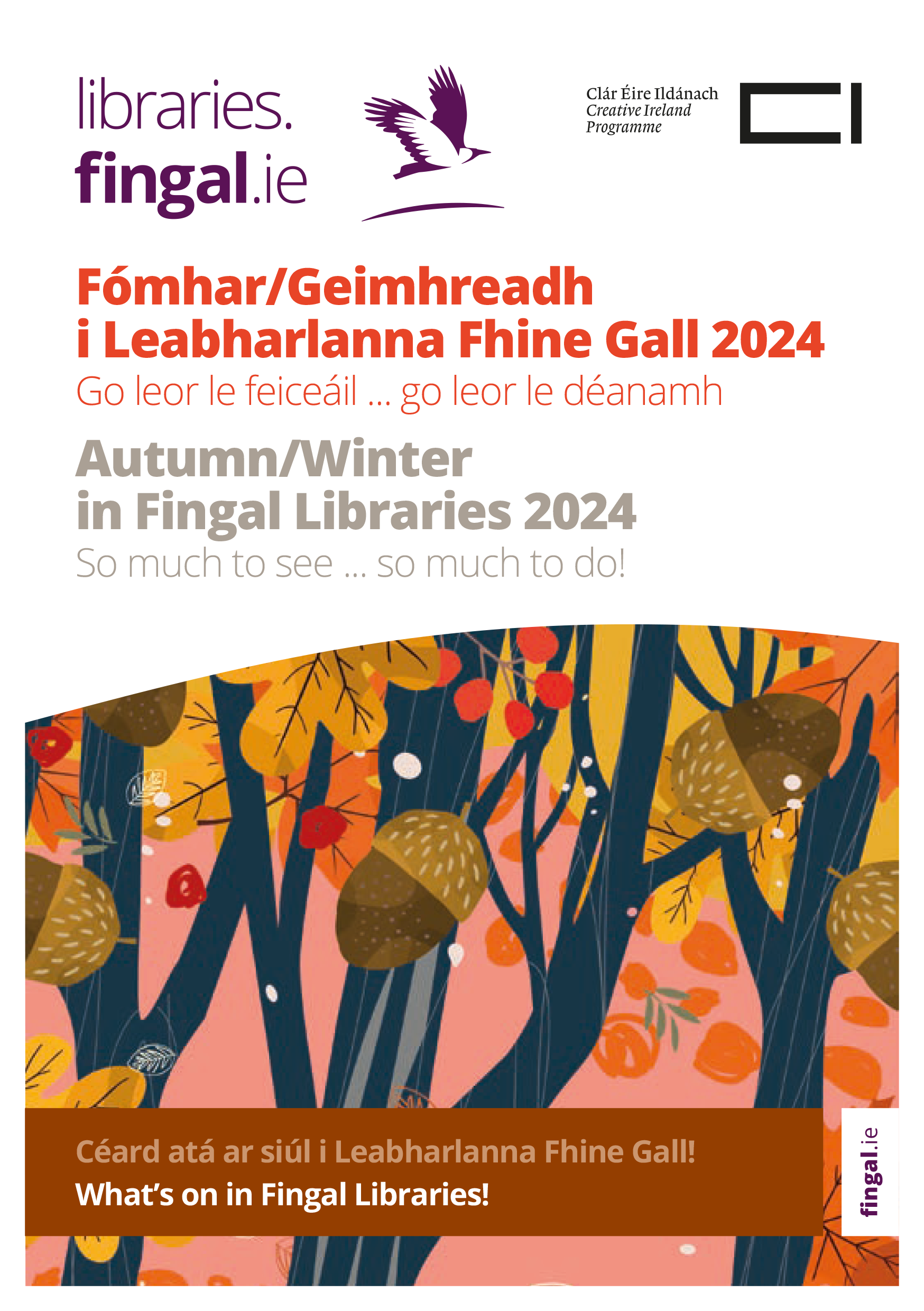 Autumn Winter in Fingal Libraries 2024