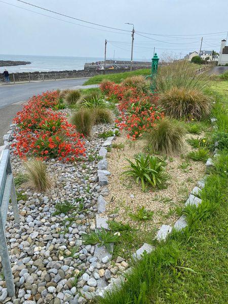 Rush Tidy Towns