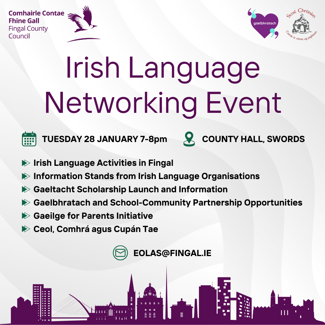 Irish Language Networking Event Flyer Béarla.png