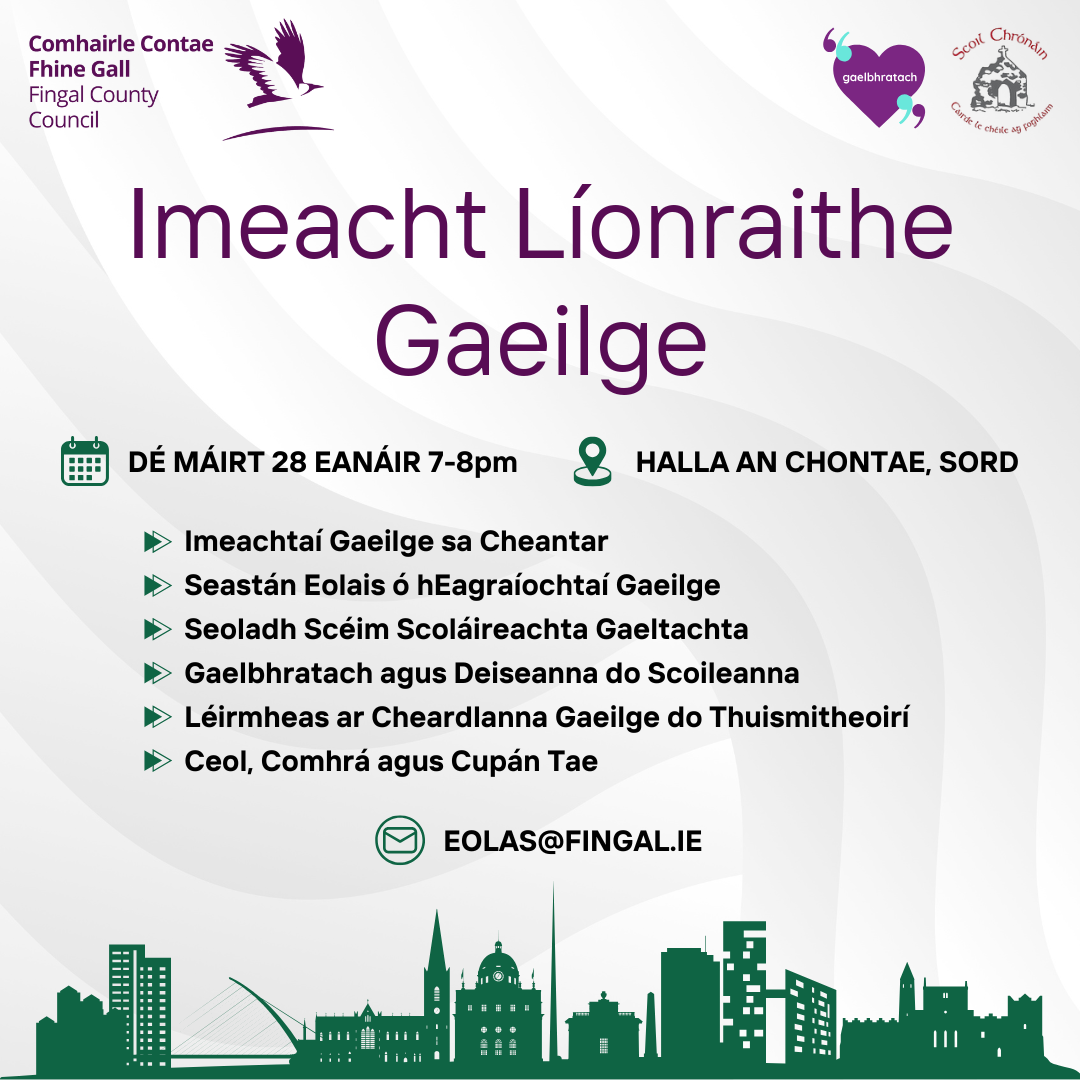 Irish Language Networking Event Gaeilge 1