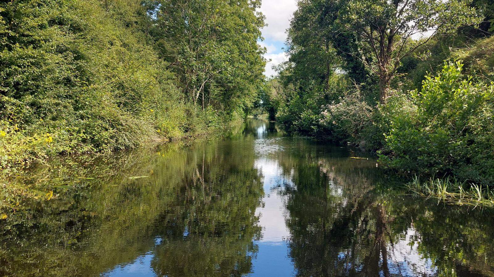 Royal Canal by Janet Ivers